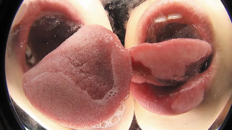 レズキス『ダブルバーチャルレズベロキス』シリーズのレズエロ画像まとめ！31枚目
