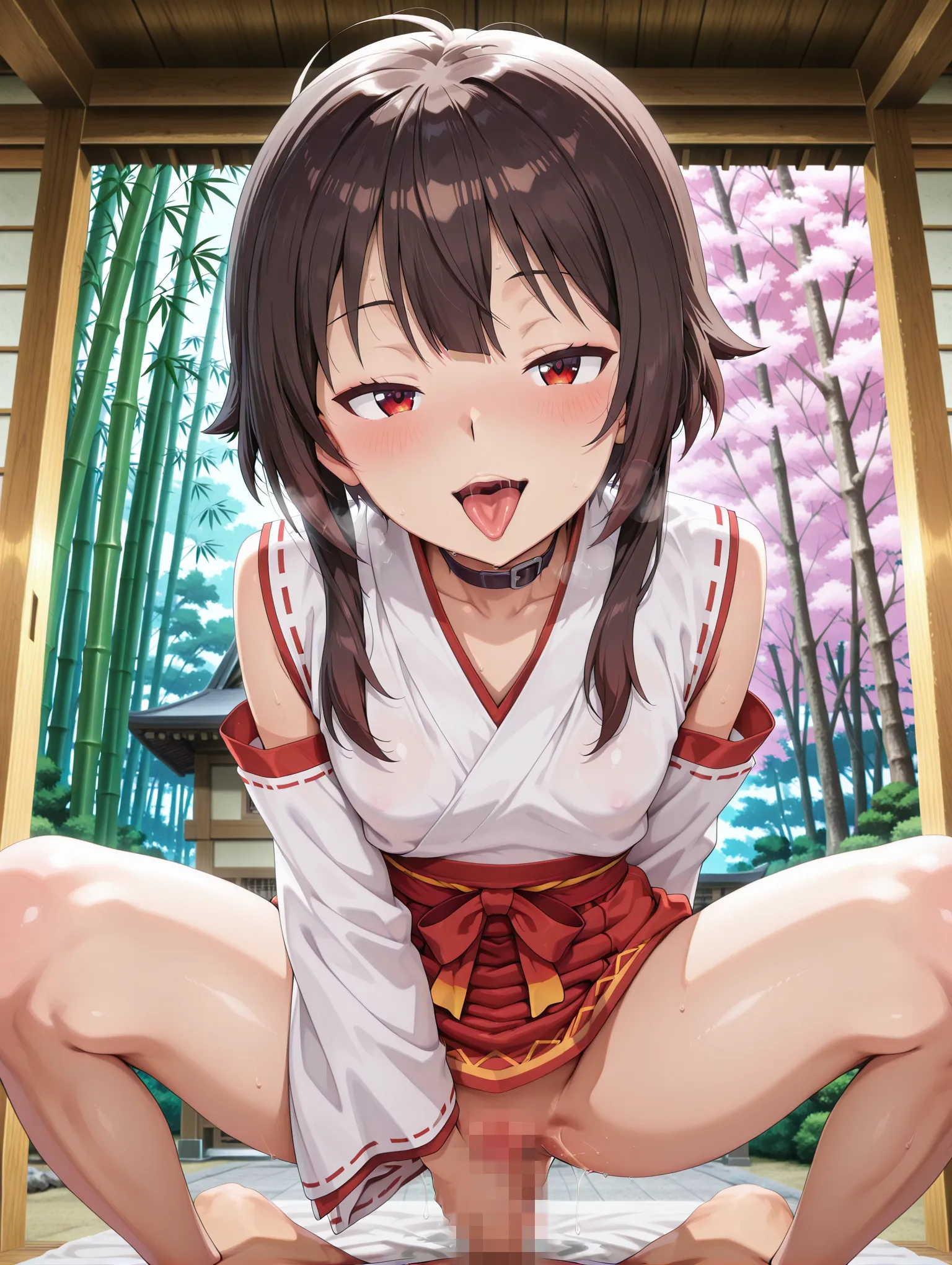 11枚目の画像です。